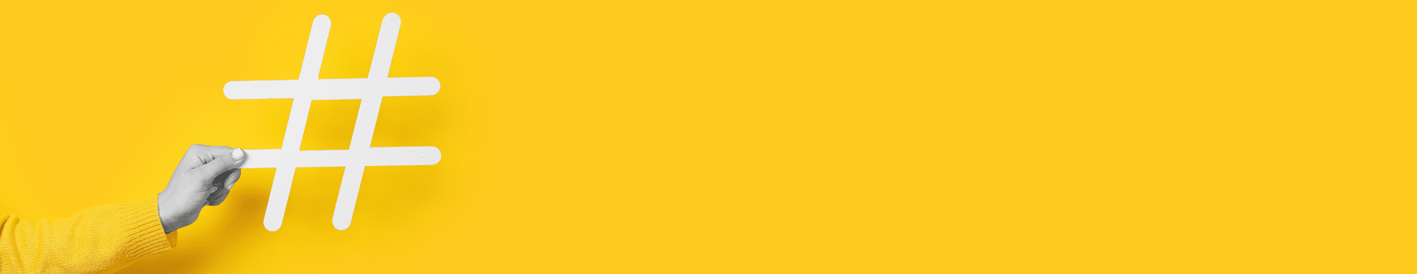 Unser Staatenlos-Expeditionsmobil: Inspiration, Tipps & Erfahrungen für Dein eigenes Vanlife-Abenteuer