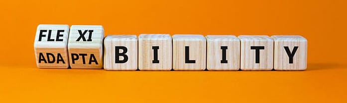 Auf diesem Bild sind viereckikge Holzblöcke mit Buchstaben abgebildet, die das Wort Flexibility ergeben